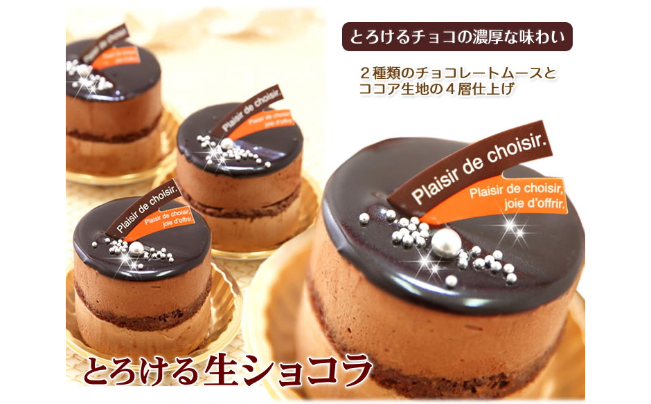 リッチな味わい チョコレートケーキ とろける生ショコラ 北海道 新ひだか町のオリジナルケーキ 北海道新ひだか町 ふるさと納税サイト ふるさとプレミアム