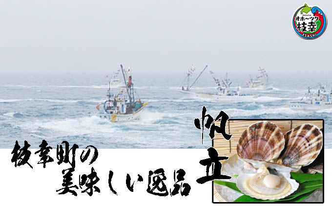 北海道枝幸町のふるさと納税 冷凍ほたて貝柱1.3kg【枝幸ほたて】海洋食品