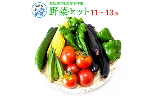 野菜セット（11‐13種類）栽培期間中農薬不使用！ 季節の野菜 旬 無農薬 野菜 やさい 新鮮 自然 健康 セット 詰め合わせ 冷蔵 美味しい おいしい 食べ物 食材 秋 旬の味覚 ご当地 お取り寄せ 芸西村 10000円 故郷納税 ふるさとのうぜい 返礼品 高知県産 高知