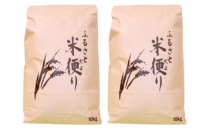 埼玉県上尾市のふるさと納税 埼玉県産　特別栽培米　彩のかがやき　20ｋｇ