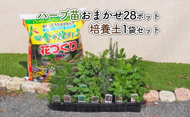 ハーブ苗28ポット 培養土1袋 ガーデニングショップ四季の里 福岡県朝倉市 セゾンのふるさと納税