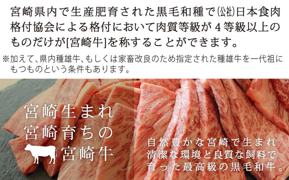 ふるさと納税 宮崎県和牛 500g すき焼きしゃぶしゃぶ 宮崎県美郷町 日本全国送料無料 500g