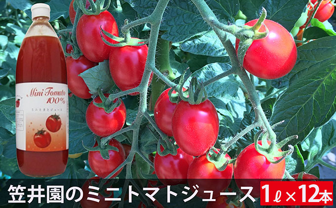 ミニトマト アイコ で作ったトマトジュース12本セット ご自宅用 北海道仁木町 セゾンのふるさと納税
