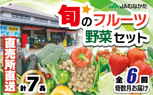 年6回奇数月 福津 むなかたの旬 野菜 果物 計10品程度 随時開始 C5210 福岡県福津市 セゾンのふるさと納税