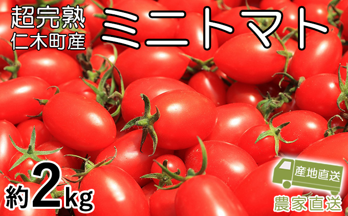 超完熟ミニトマト アイコ お試し2kg 1kg 2箱 北海道仁木町 セゾンのふるさと納税