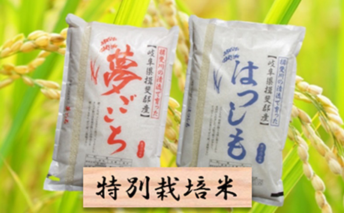 特別栽培米 白米10kg 夢ごこち ハツシモ 岐阜県池田町 セゾンのふるさと納税 特別栽培米 白米10kg 夢ごこち ハツシモ 岐阜県池田町 セゾンのふるさと納税