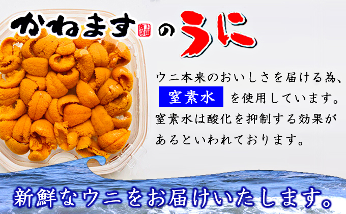 北海道産塩水うに 蝦夷ばふんうに 100g 2 北海道厚岸町 セゾンのふるさと納税