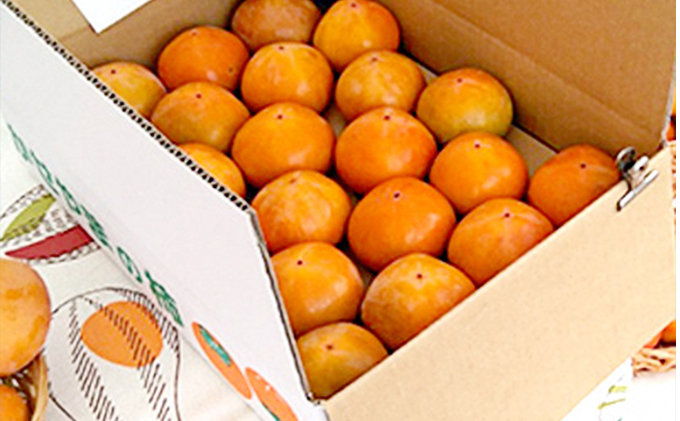 京都府木津川市のふるさと納税 かせやまの柿−富有柿　Lサイズ　約3.5kg