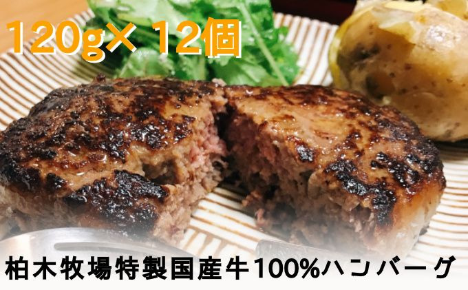 神奈川県伊勢原市のふるさと納税 ジュワッと肉汁まで美味い！柏木牧場特製 国産牛100％ハンバーグ（120g×12個）