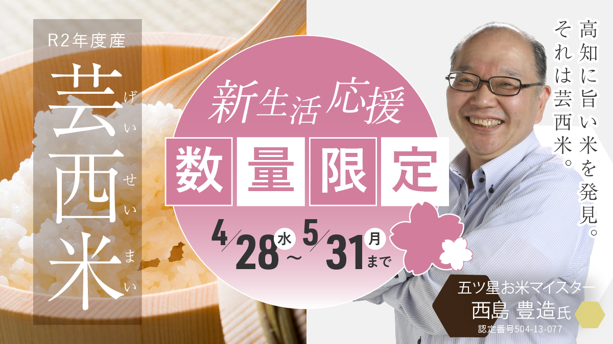 五ツ星お米マイスター推奨♪ 令和2年度産　芸西米（げいせいまい）＜コシヒカリ（こしひかり）＞　5Kg×2袋　計10kg　【送料無料】※8月下旬より順次発送