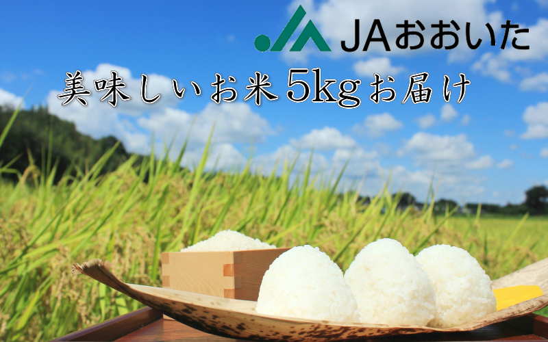 JA美味しいお米/5kg（ひとめぼれ）|JA全農おおいた