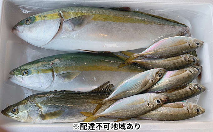 朝捕れ直送！！瀬戸内のお魚詰合せ森本水産