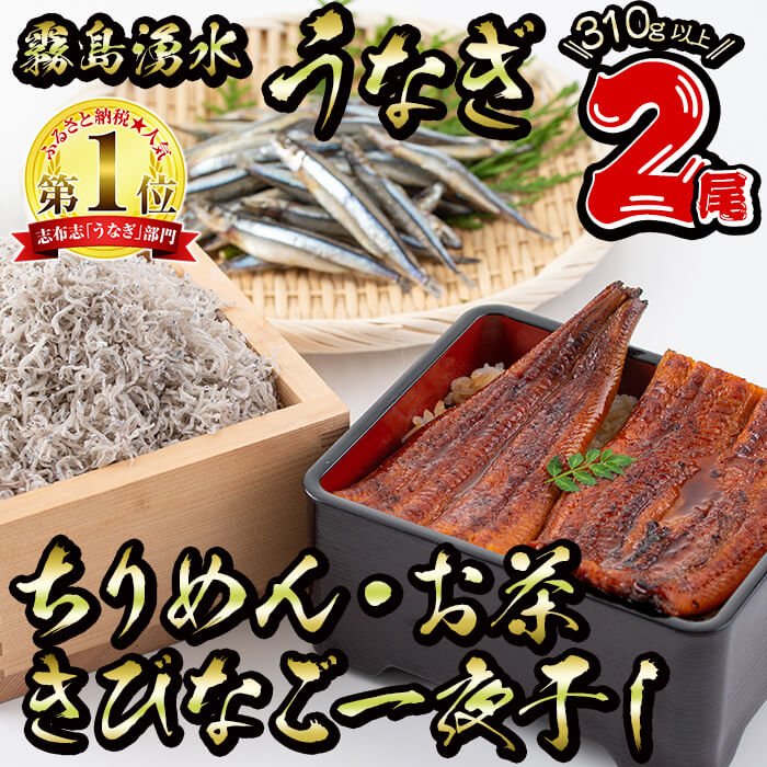 B0 0 志布志の恵みセット 霧島湧水鰻2尾 ちりめん きびなご一夜干し 福茶の粉茶 鹿児島県志布志市 セゾンのふるさと納税