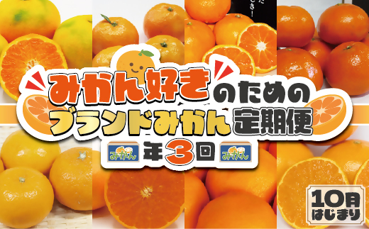 Jaむなかたブランドみかん 6回定期便10月始まり 約3kg 6種 C5330 福岡県福津市 セゾンのふるさと納税