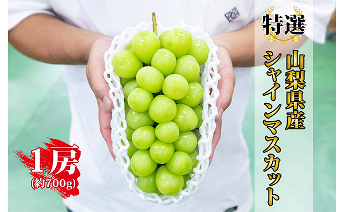 特選 山梨県産 大房シャインマスカット1房 約700g 山梨県中央市 セゾンのふるさと納税 特選 山梨県産 大房シャインマスカット1房 約700g 山梨県中央市 セゾンのふるさと納税