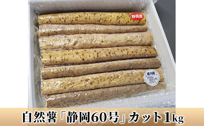 静岡県産 美味しさ抜群 天然自然薯 約1キロ 手掘り天然物 送料無料2