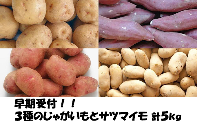 北海道木古内町のふるさと納税 あきやまさん家のじゃがいも3種とサツマイモ　計5kg