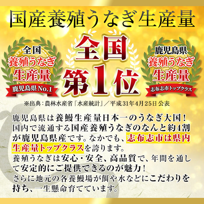 B0 025 訳あり 数量限定 復活 不揃いのうなぎ達 計740g以上 鹿児島県産 鰻の蒲焼き 鹿児島県志布志市 セゾンのふるさと納税