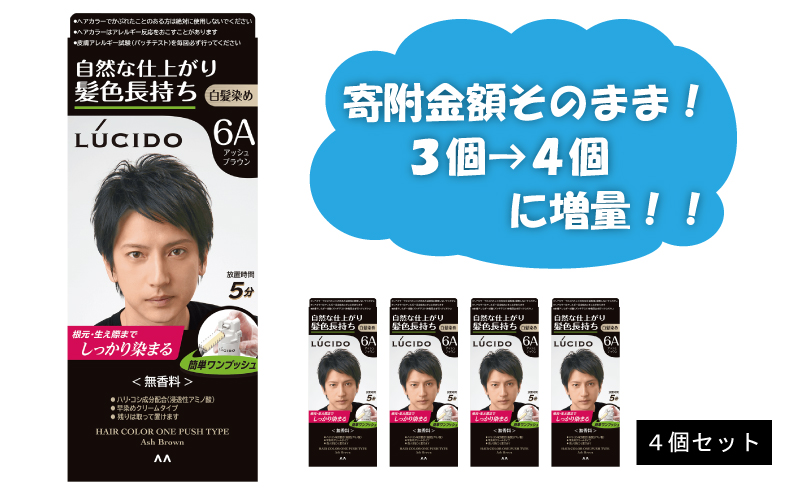 Ma 15 マンダム ルシード ワンプッシュケアカラー アッシュブラウン 3個セット 兵庫県福崎町 セゾンのふるさと納税