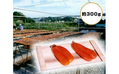 冷蔵 からすみ 約300g ボラ 珍味 高級 カラスミ 酒の肴 限定 三重県 南伊勢町 伊勢志摩 三重県南伊勢町 セゾンのふるさと納税