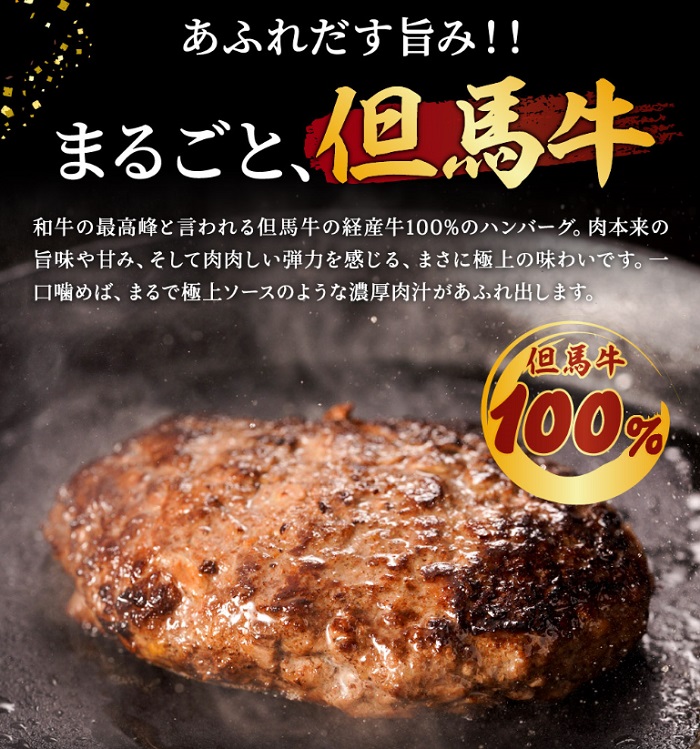 兵庫県市川町のふるさと納税 009AA01N.但馬牛 経産牛 ハンバーグ（150g×5個）但馬牛 牛肉 100%