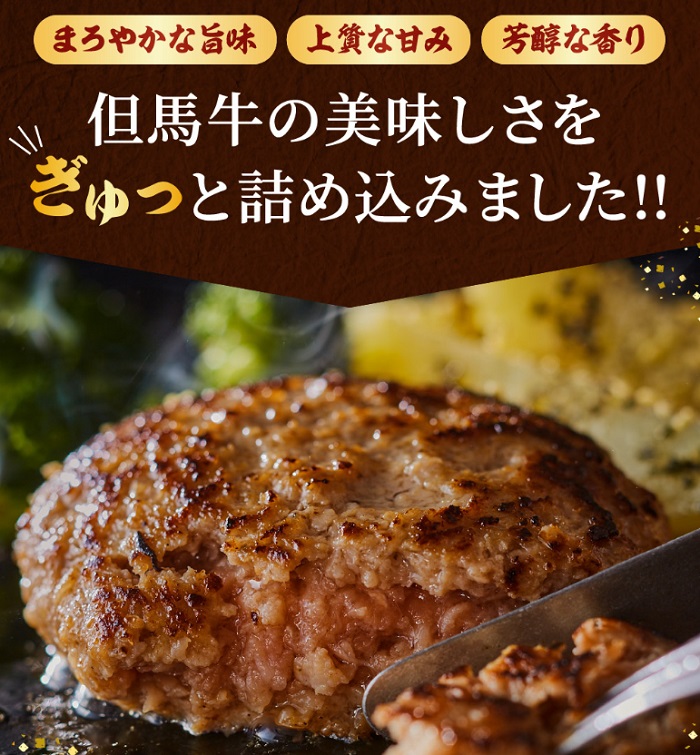 009AA01N.但馬牛 経産牛 ハンバーグ（150g×5個）但馬牛 牛肉 100% / 兵庫県市川町 | セゾンのふるさと納税