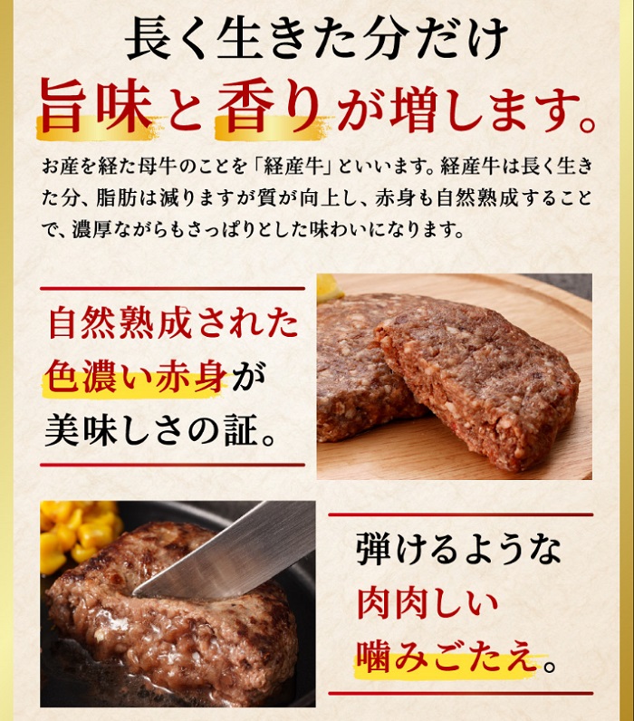 兵庫県市川町のふるさと納税 009AA01N.但馬牛 経産牛 ハンバーグ（150g×5個）但馬牛 牛肉 100%