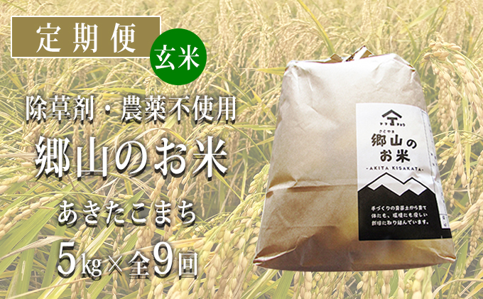 お洒落 玄米 令和3年産米 秋田県産 あきたこまち 特別栽培米 5kg 農薬８割減 化学肥料９割減 慣行栽培比 農家直送  materialworldblog.com