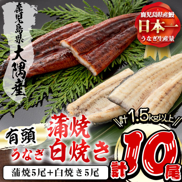 一部予約販売】 うなぎ蒲焼き5キロ - その他 加工食品