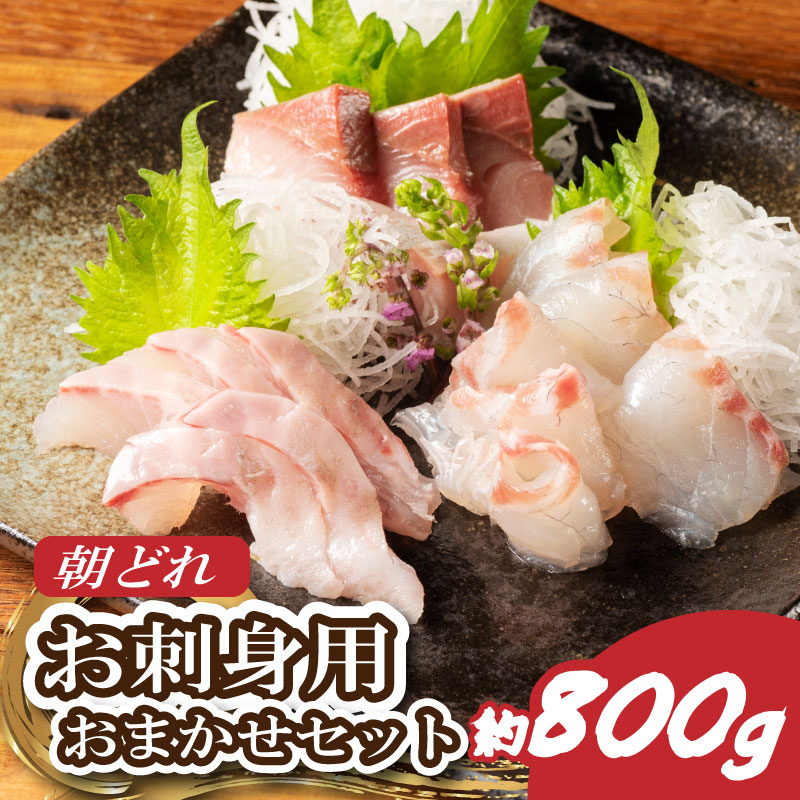 冷蔵 伊勢志摩産 朝どれ ３種 お刺身セット 城水産 鯛 鰤 たい ブリ 新鮮 真空 海の幸 三重県 三重県南伊勢町 セゾンのふるさと納税