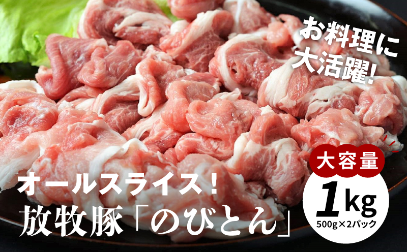 放牧豚「のびとん」オールスライス！500ｇ×2パック K25_0007 / 宮崎県木城町 | セゾンのふるさと納税