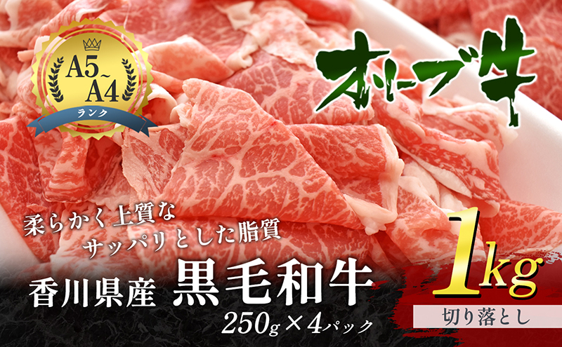 香川県産黒毛和牛オリーブ牛切り落とし 250g 4p 配送不可 沖縄県 離島地域 香川県東かがわ市 セゾンのふるさと納税