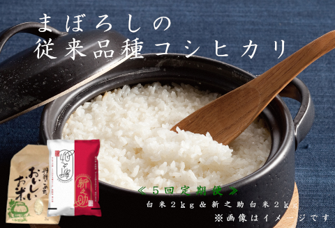 F 25 New 新米予約 5回定期便 旧笹神村産コシヒカリ 2kg 新之助 2kg 美味しいお米食べ比べセット 新潟県阿賀野市 セゾンのふるさと納税