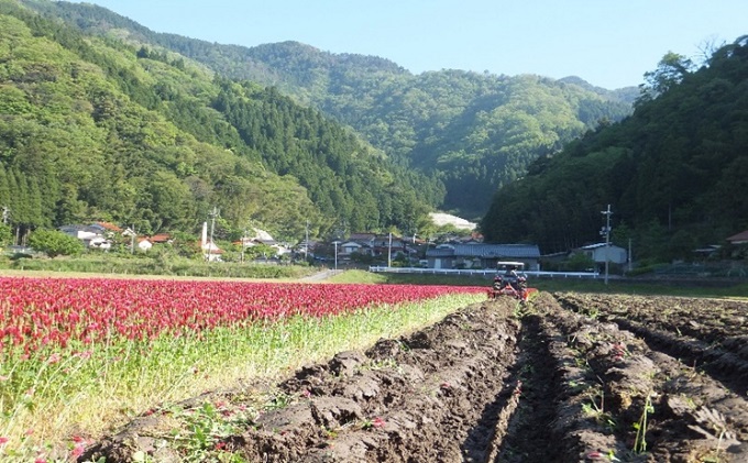 令和3年度産 石見高原ハーブ米 きぬむすめ 5kg 島根県美郷町 セゾンのふるさと納税