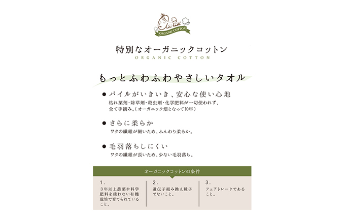 エアーかおる 純ギラ銀なでしこ3色セット 岐阜県安八町 ふるさと納税サイト ふるさとプレミアム